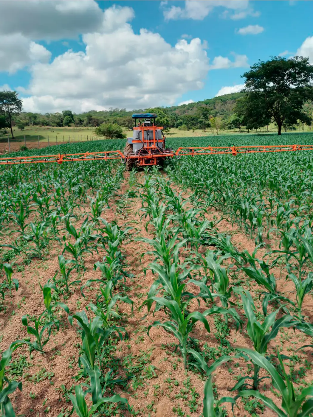 CRONOS 800 - 4 hidráulico